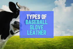 Collection of baseball glove leather in a gallery layout