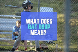 Collection of What Does Bat Drop Mean In Baseball? in a gallery layout