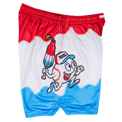 Collection of Bomb Squad Mesh Lifestyle Baseball Shorts in a gallery layout