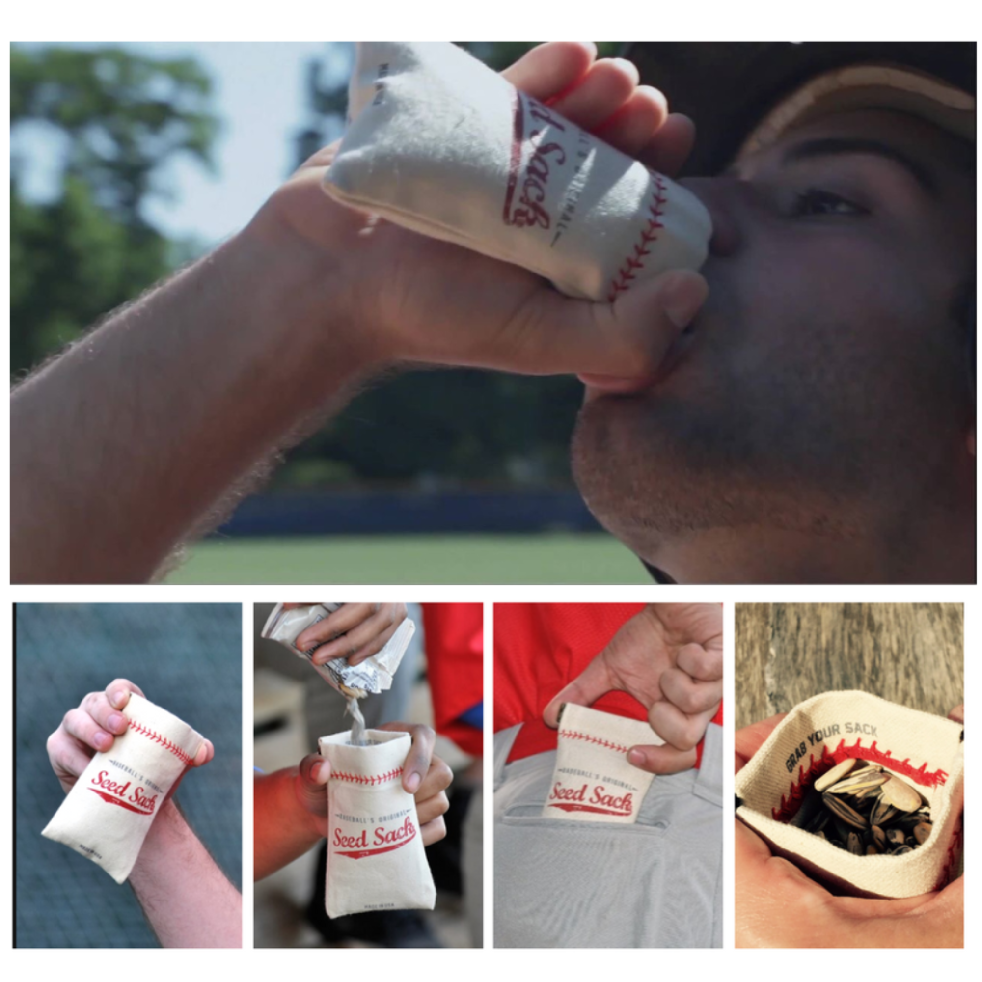 Collection of Baseball Seed Pouch Bundle in a gallery layout