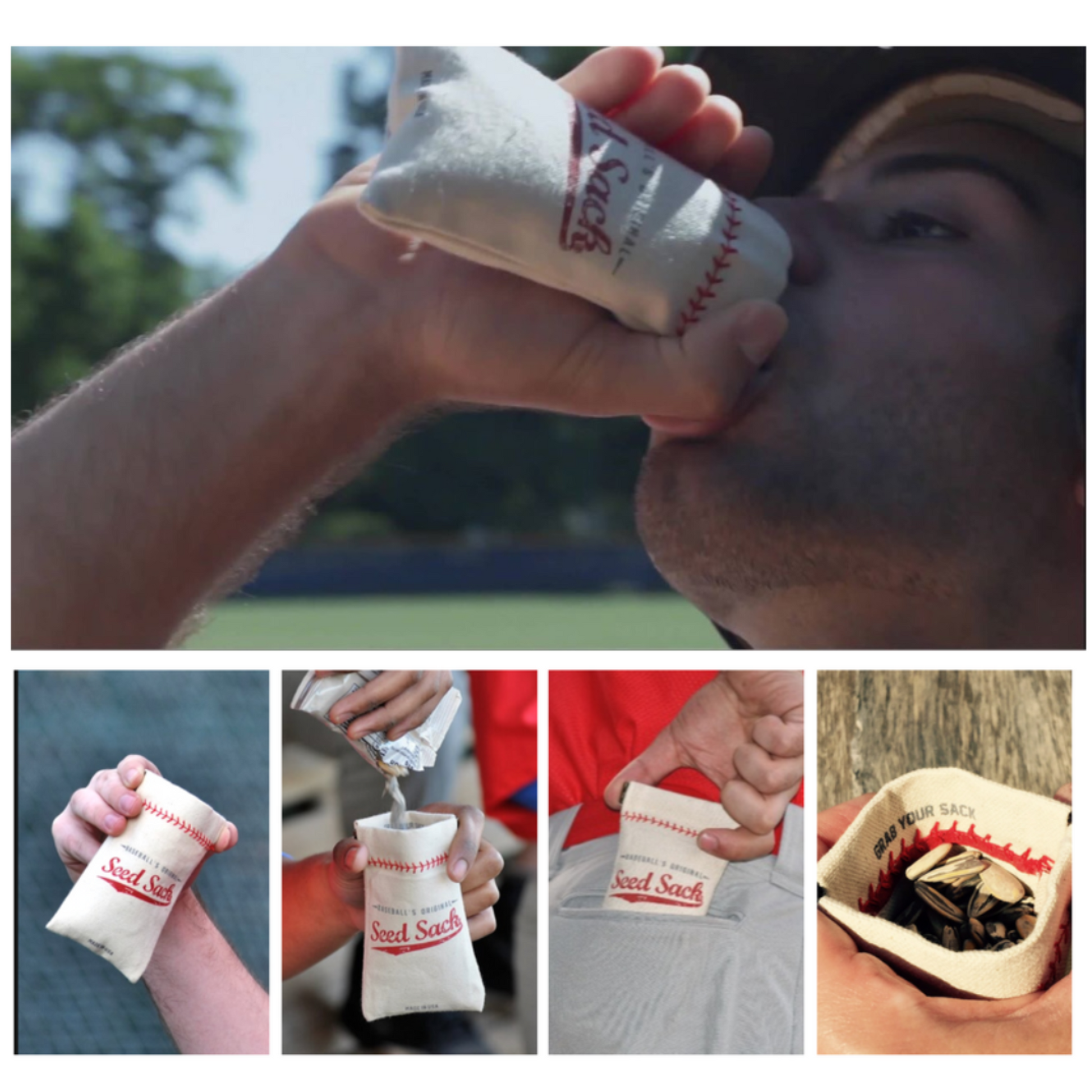 Baseball Seed Pouch Bundle