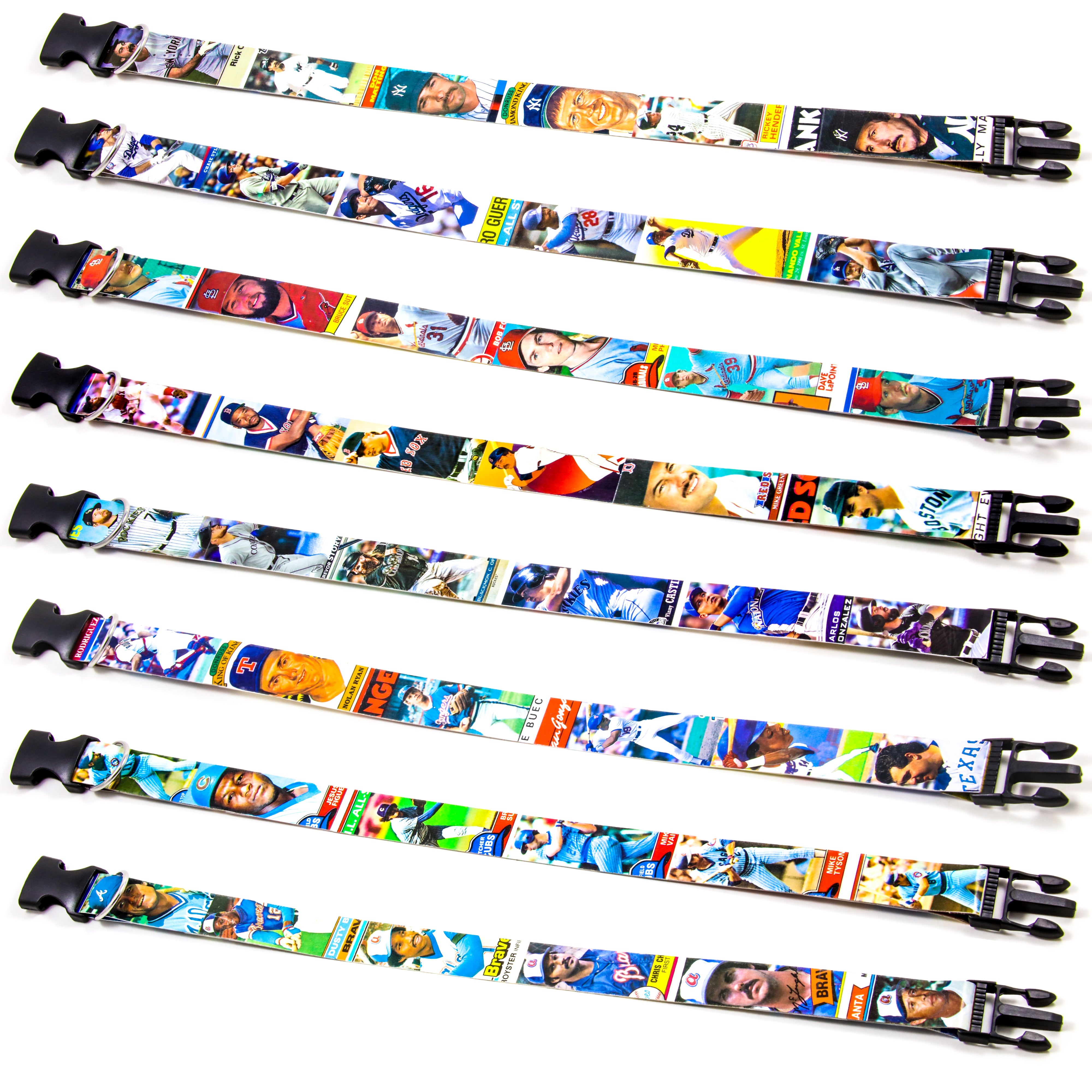 Collection of baseball card dog collars in a gallery layout