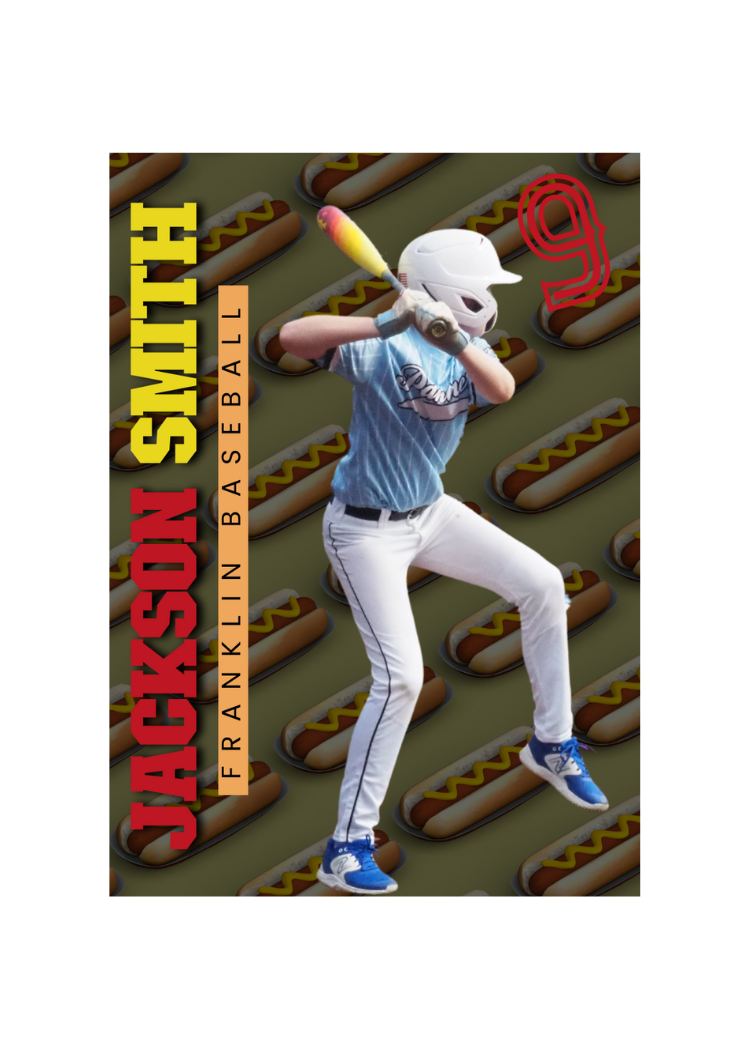 Baseball Card Template #17