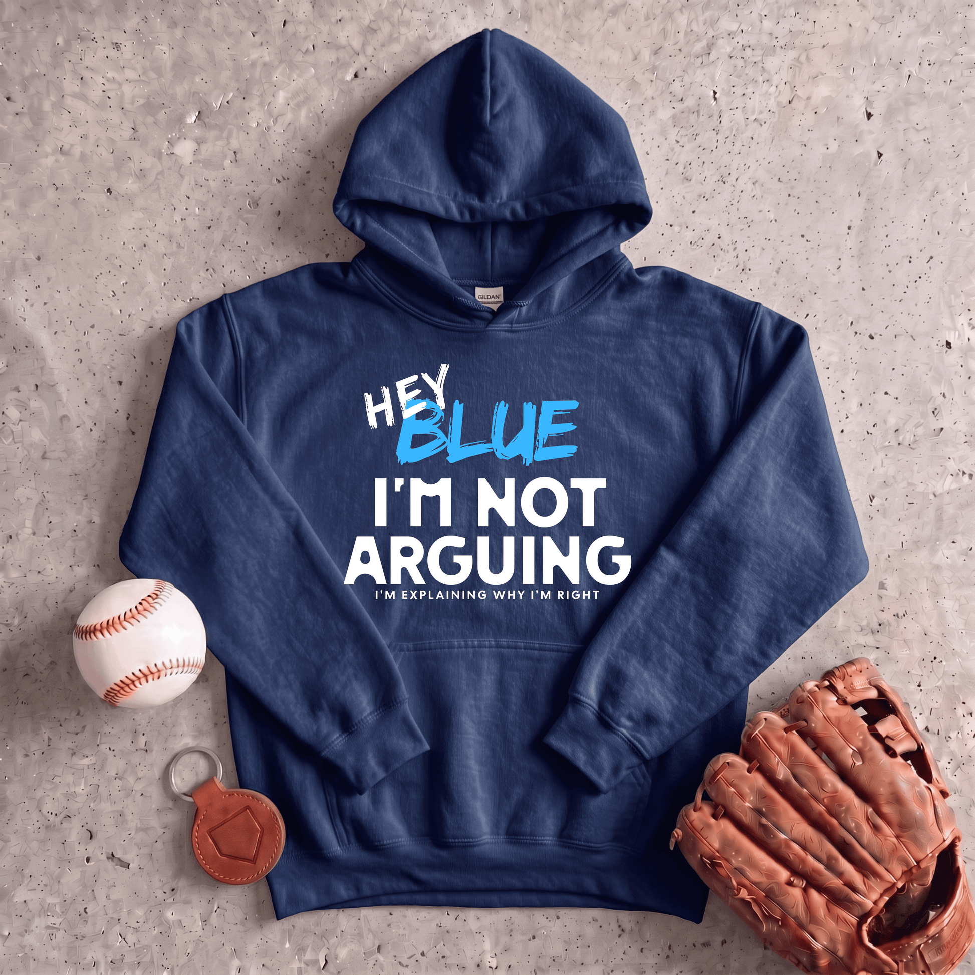 Hey Blue Im Not Arguing Hoodie