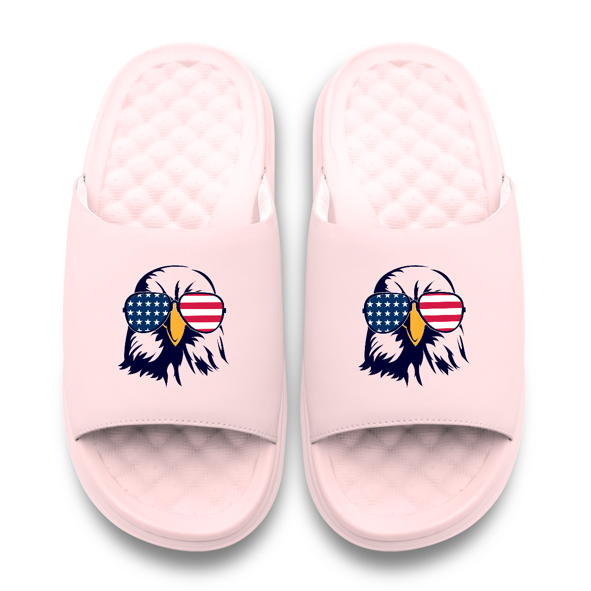 Bald Eagle USA Slides