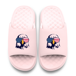 Collection of Bald Eagle USA Slides in a gallery layout