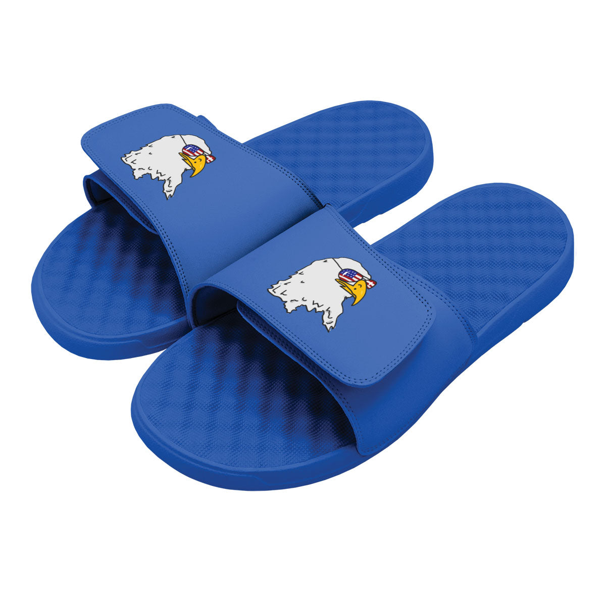 Collection of Bald Eagle Sunglasses Slides in a gallery layout