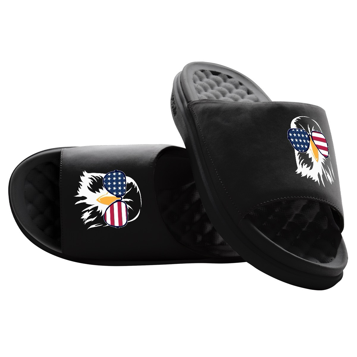 Bald Eagle USA Slides