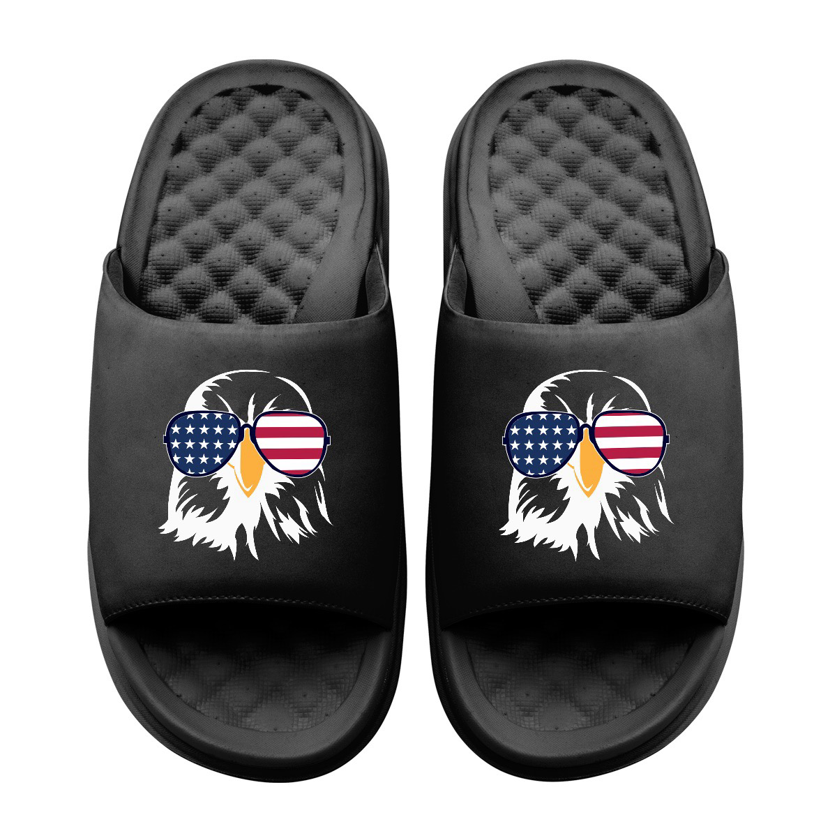Bald Eagle USA Slides
