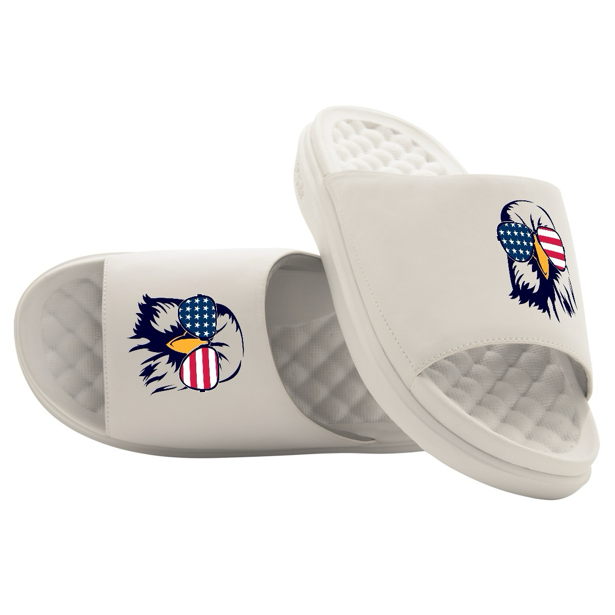 Collection of Bald Eagle USA Slides in a gallery layout