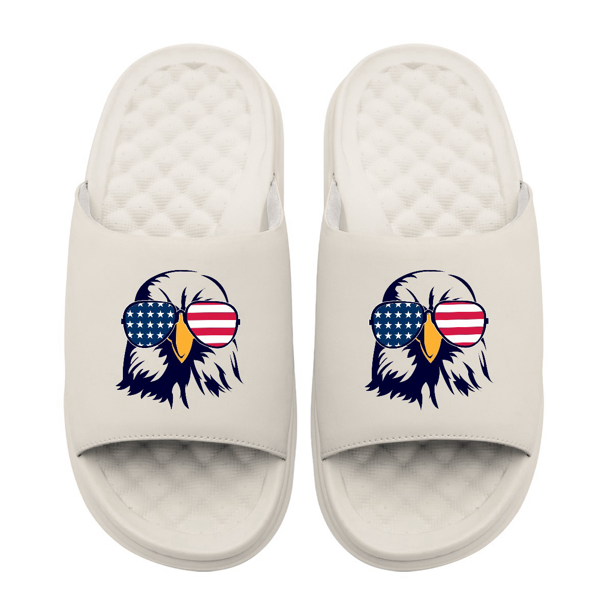 Bald Eagle USA Slides