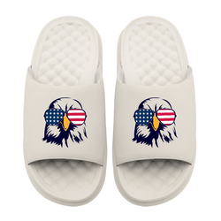 Collection of Bald Eagle USA Slides in a gallery layout