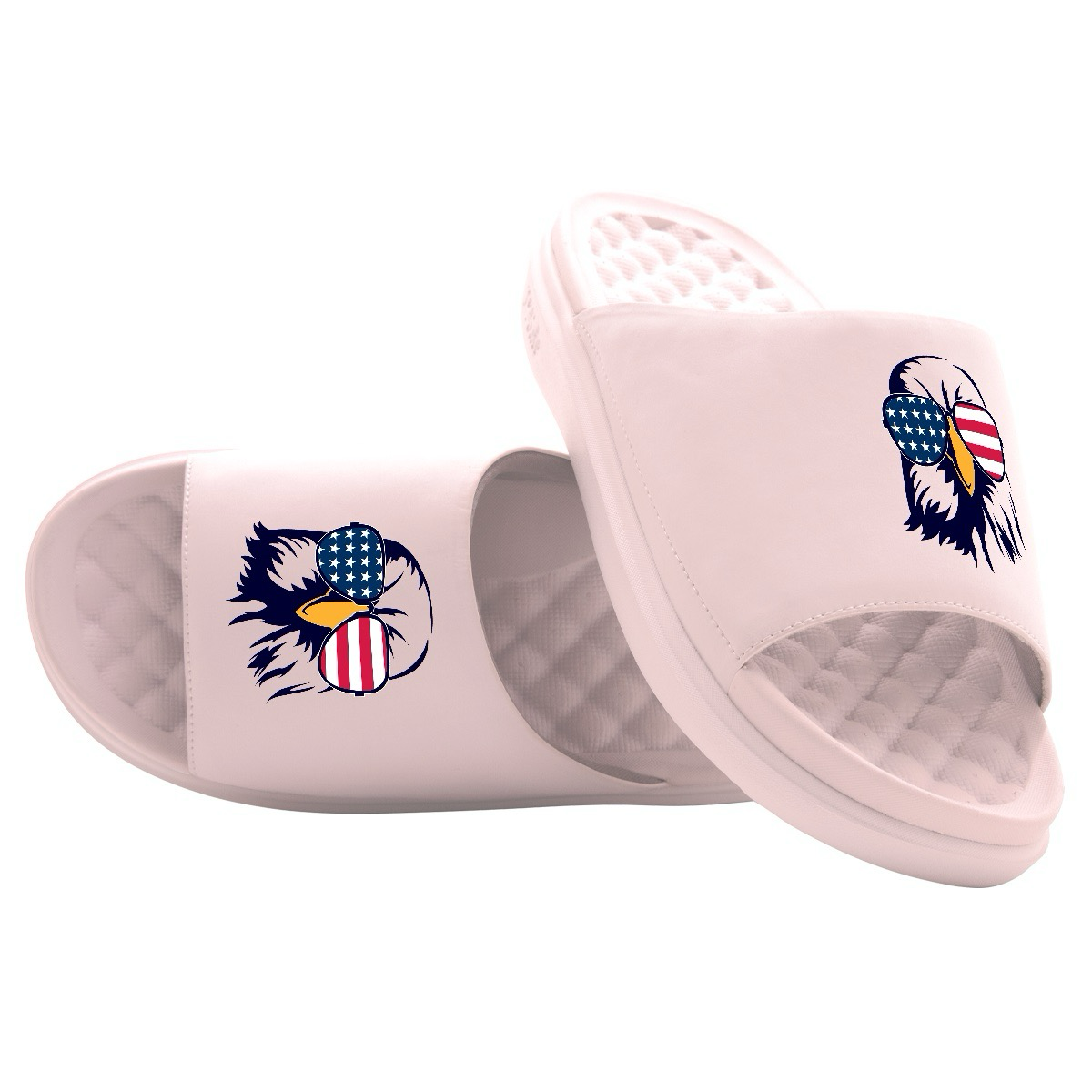 Bald Eagle USA Slides