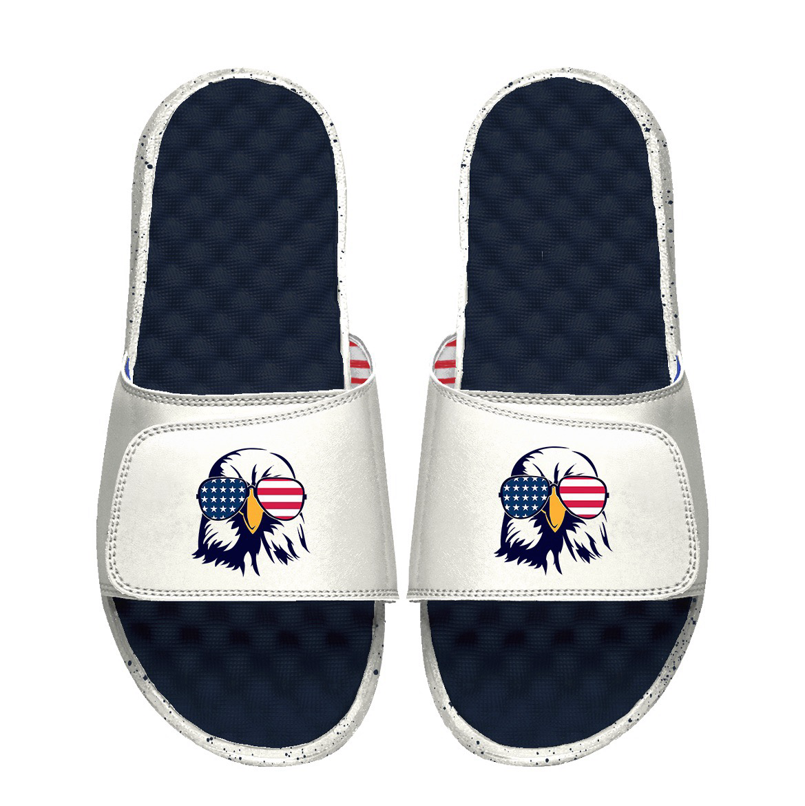 Bald Eagle American Slides